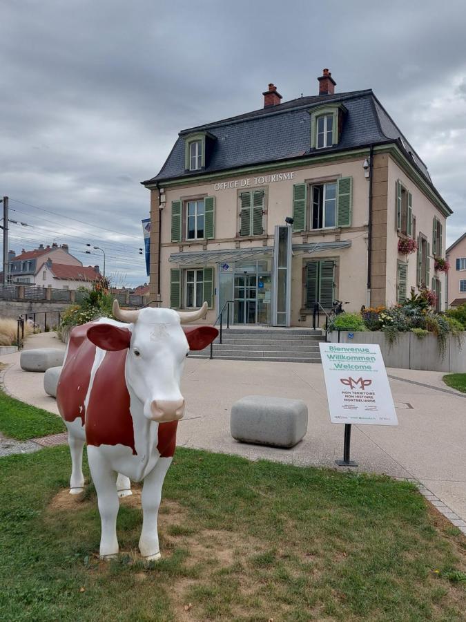 Appart' Duchatelain Lumineux, Vue Sur Chateau Montbéliard Exterior foto